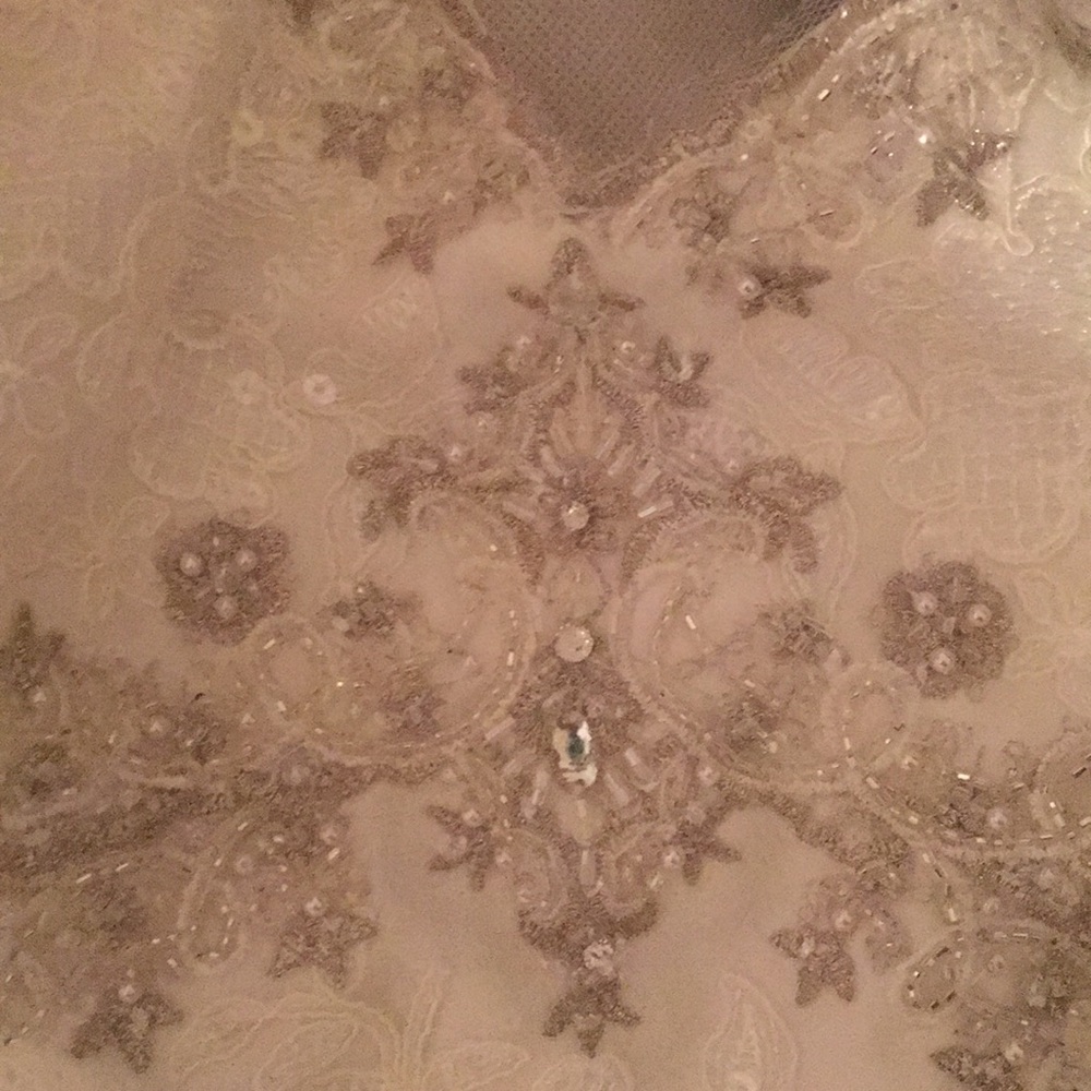 Wedding Dress - Picture 7 of 8